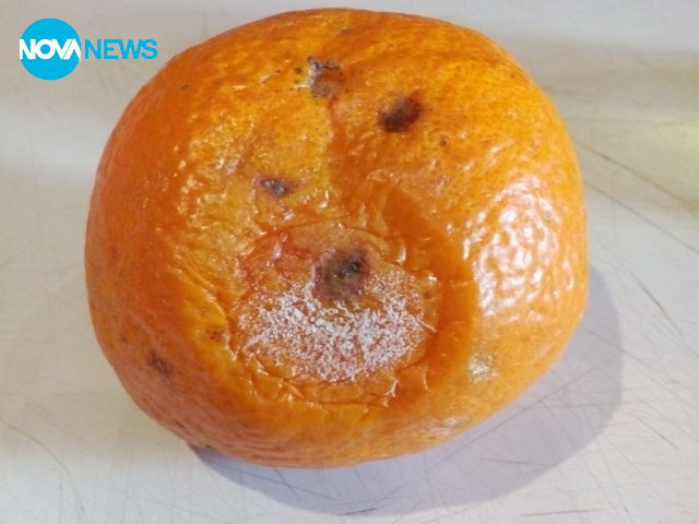 Закуски в училище