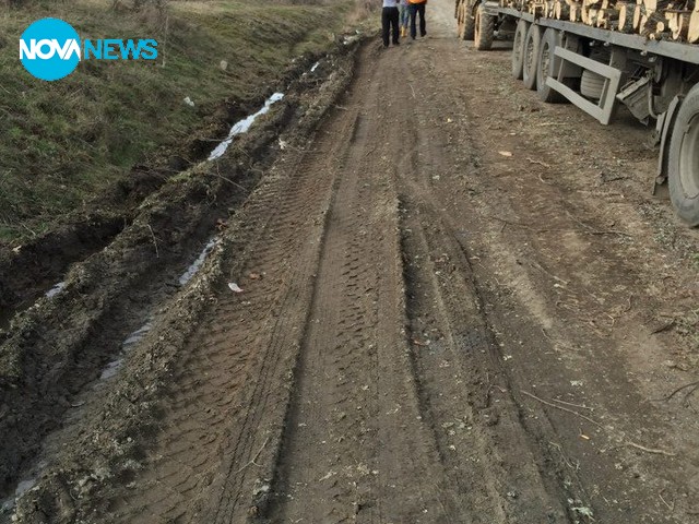 Изсичане на гори в Малко Търново