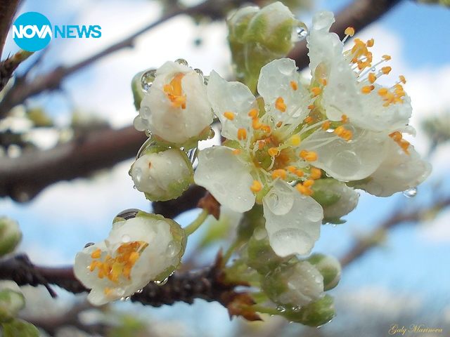 За прогнозата на времето