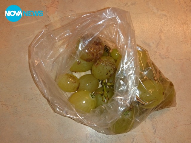 Какво закусват нашите деца в училище