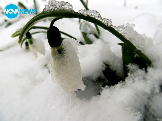 Зимен февруари