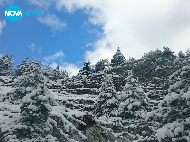 Зимна приказка в Родопите