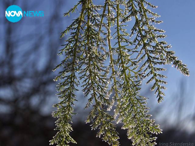 Прогноза за времето