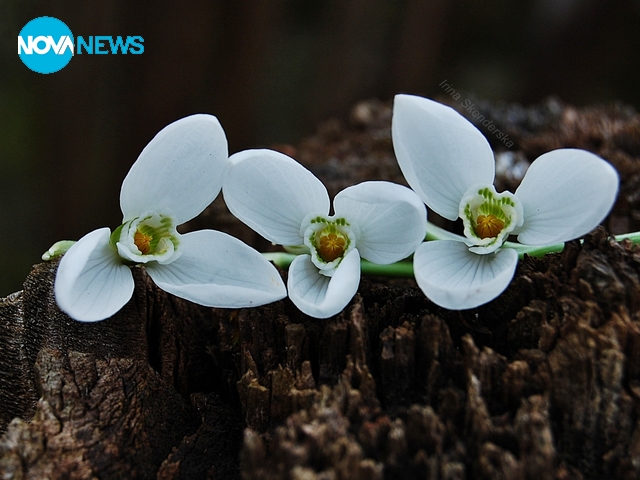 Настроение