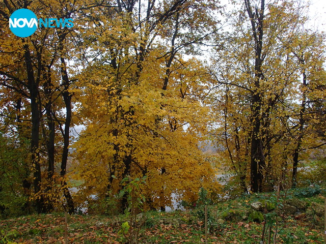 Златна есен