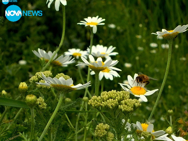 Цветно настроение