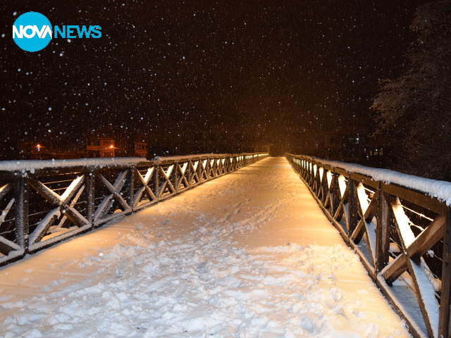 Снежно Търново