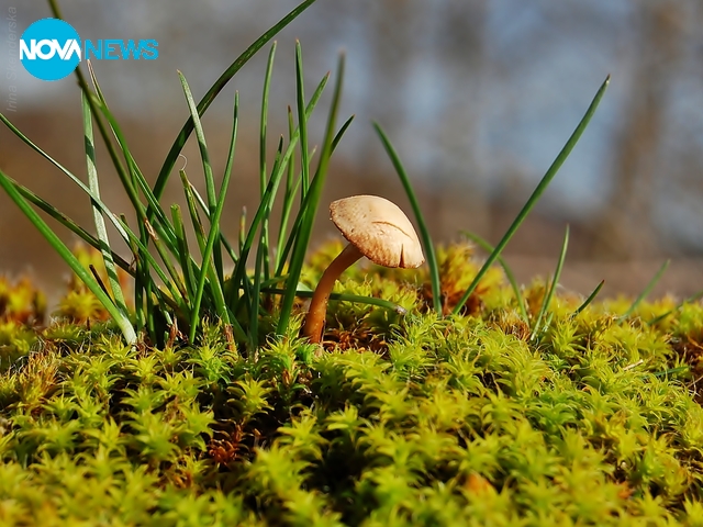 За прогнозата на времето