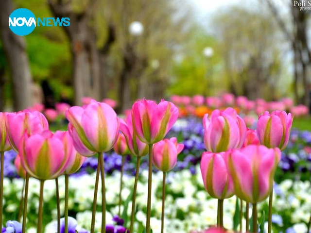 Да поканим пролетта