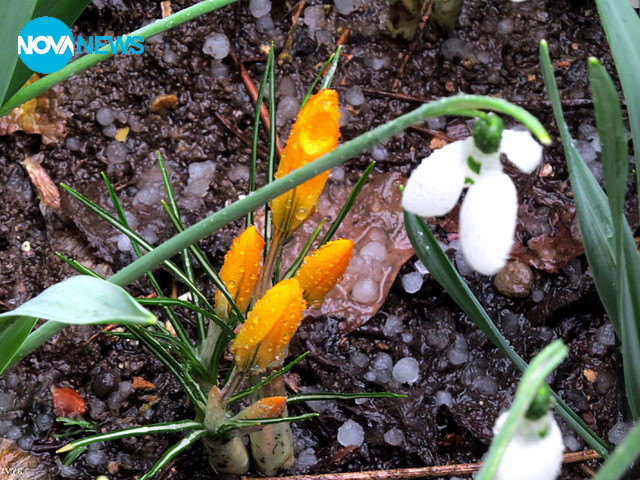 Баба Марта се разлюти - сипе градушка