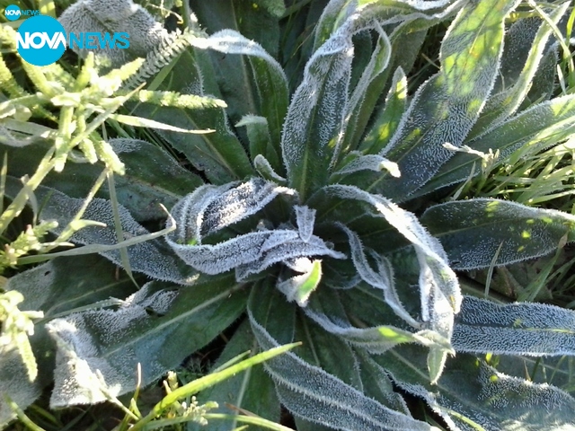 Скрежно априлско утро