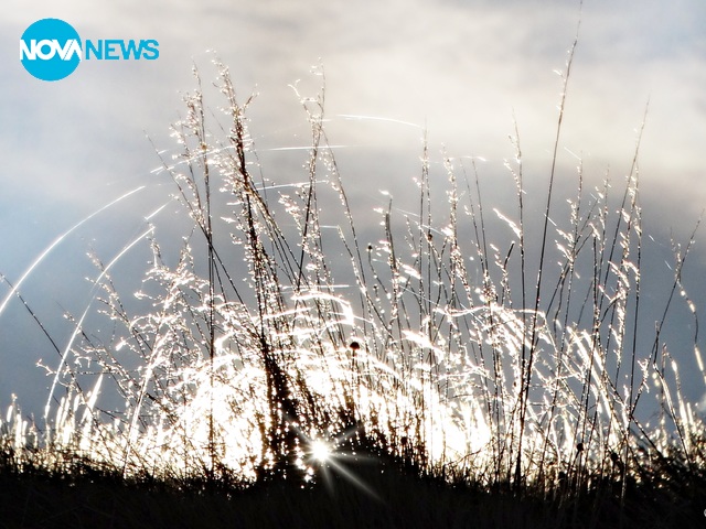 Заскрежено утро