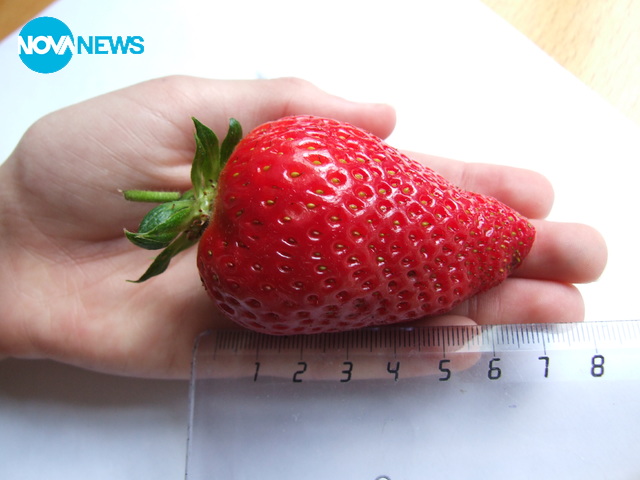 От градината на дядо