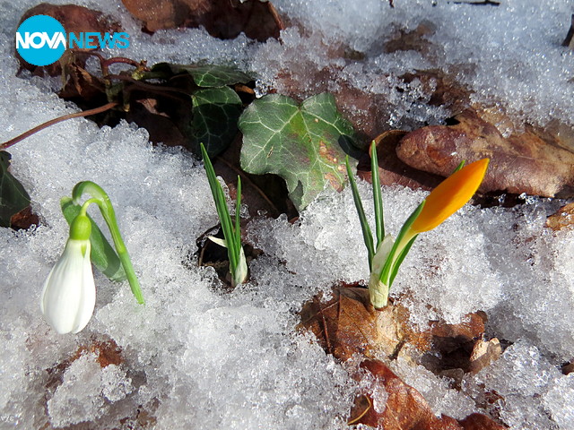 Днес денят започна със зимна приказка