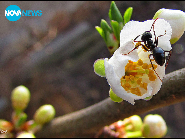 Пробуждане