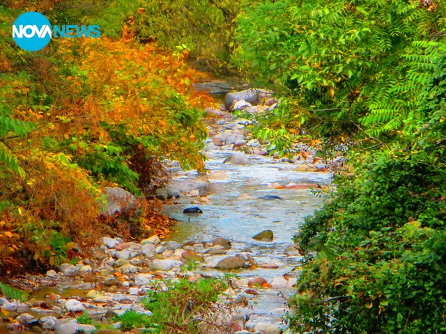 Есен във Врачанския Балкан