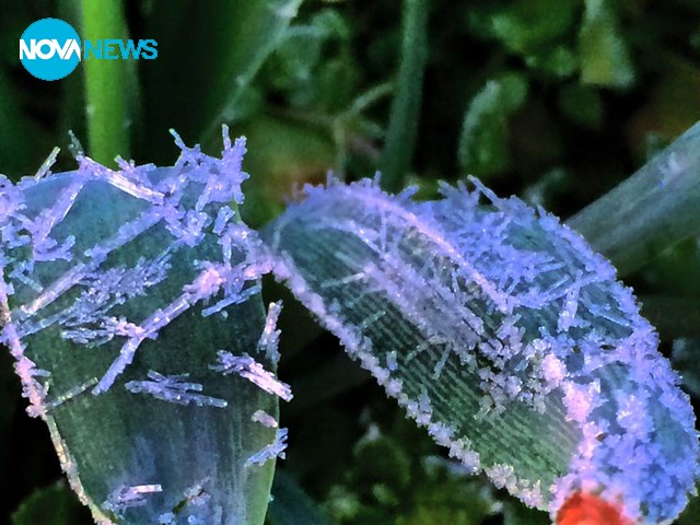 -6 градуса тази сутрин в 7:30 в Долна Оряховица