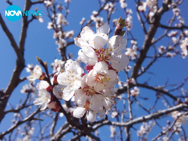 Прекрасна пролет