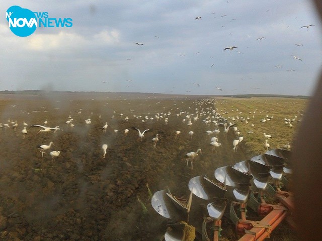 Пролет и щъркели