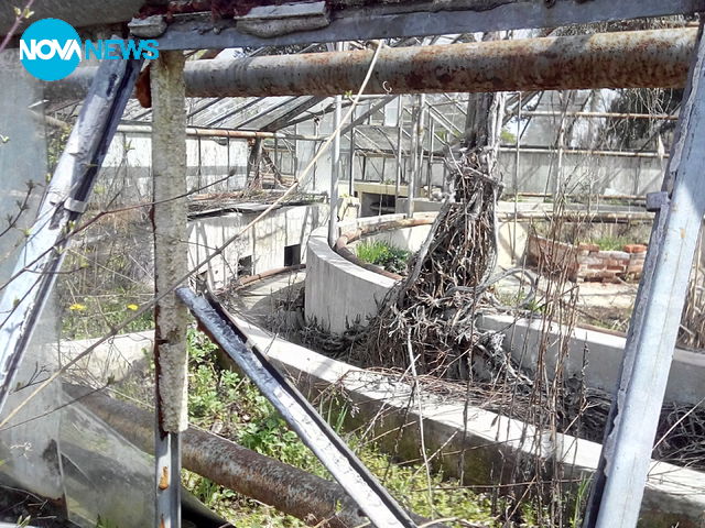 "Уникално" стопанисване от Столична община