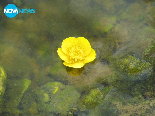 И там има красота