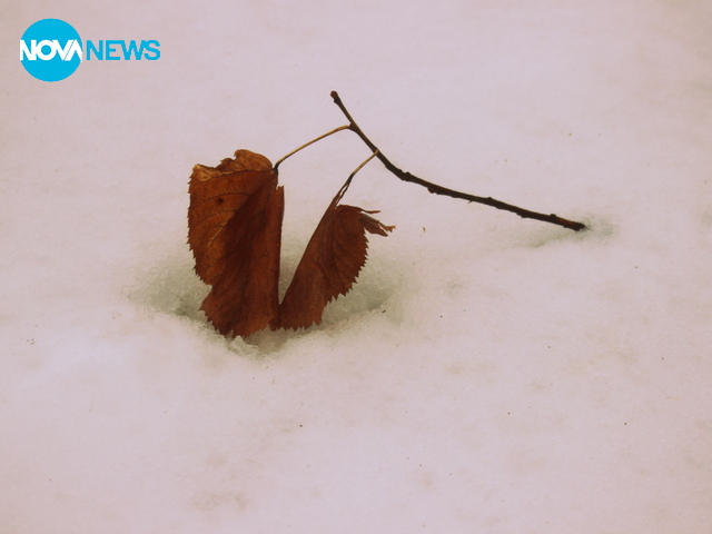 За прогнозата за времето