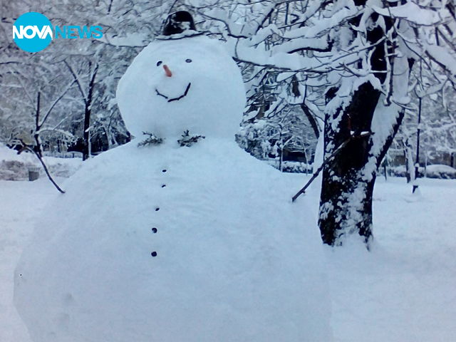 Снежна красота в Докторската градина