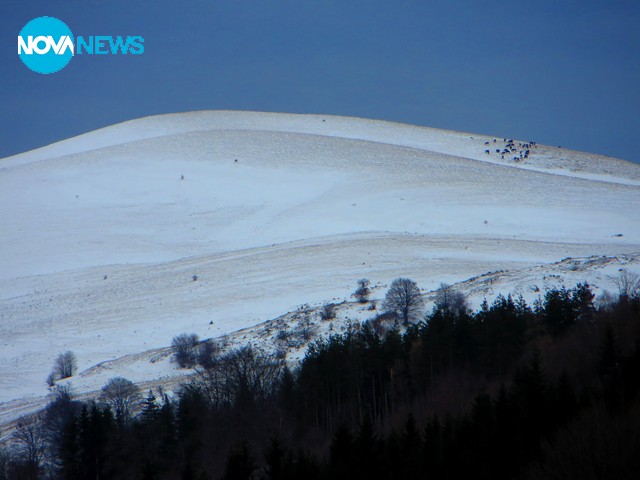 Врачански Балкан