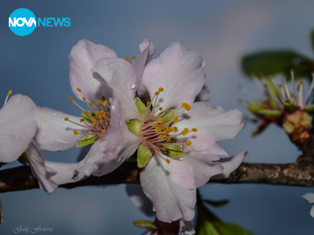 Пролетно-дъждовно