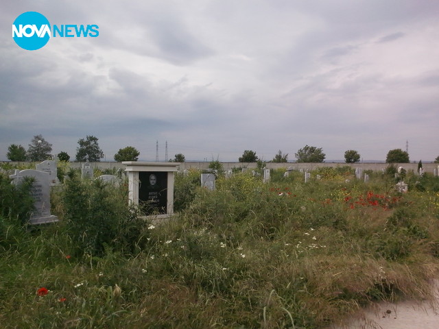 Гробищен парк, Видин