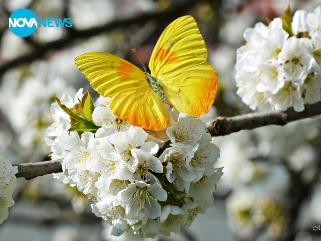 Пролетно настроение