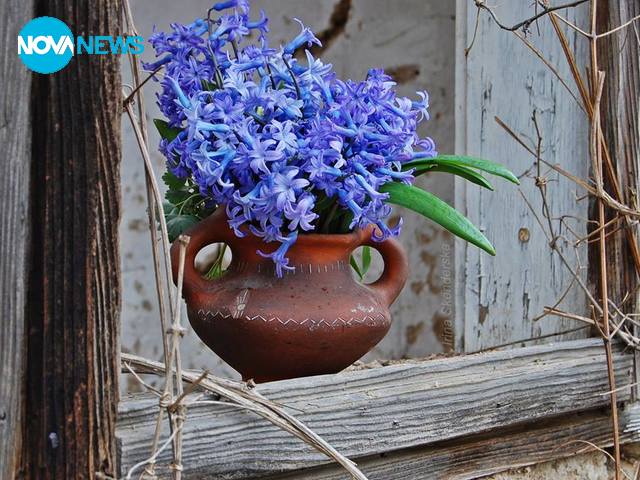 Забравен дом