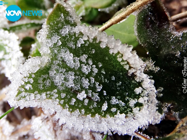 Заскрежено утро