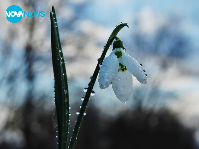 За прогнозата на времето - 2