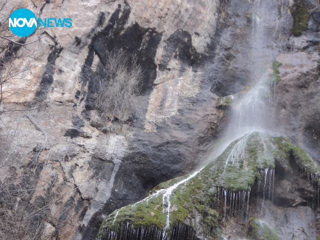 Девствена природа