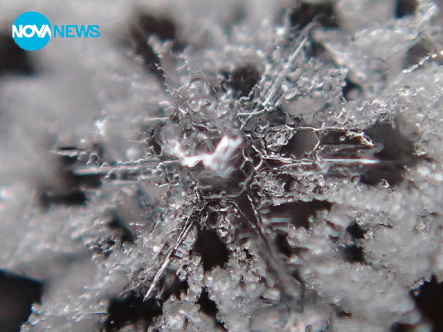 Добре дошла Зима