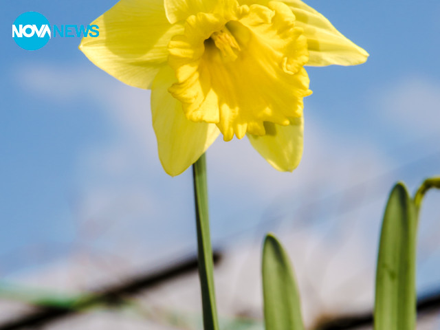 Снимка за прогнозата