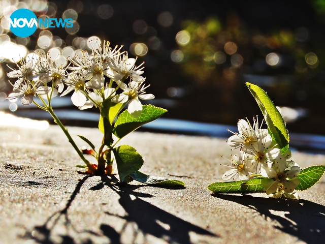 За прогнозата на времето