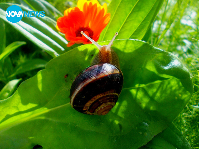 Разходка след дъжда