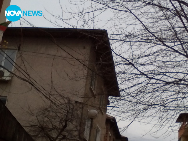 Опасно дърво с кабели