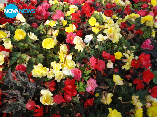 Здравеопазване