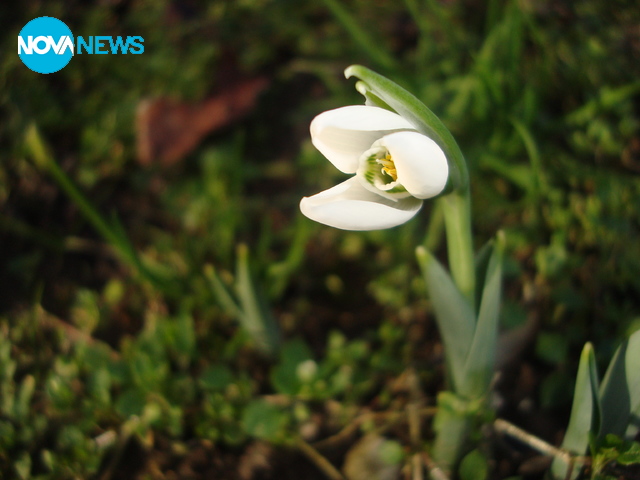 Красота в Шумен