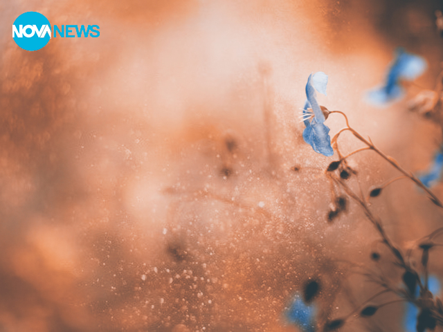 За прогнозата на времето