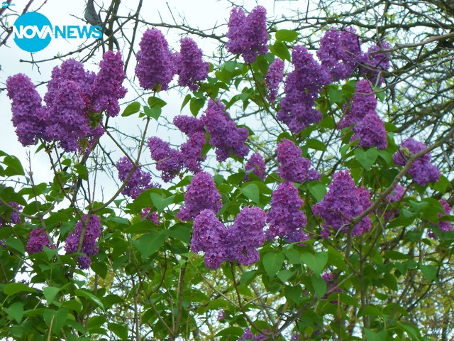 Гергьовден!