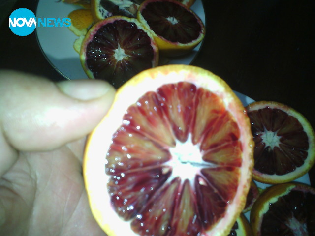 Вижте какви портокали ядем!