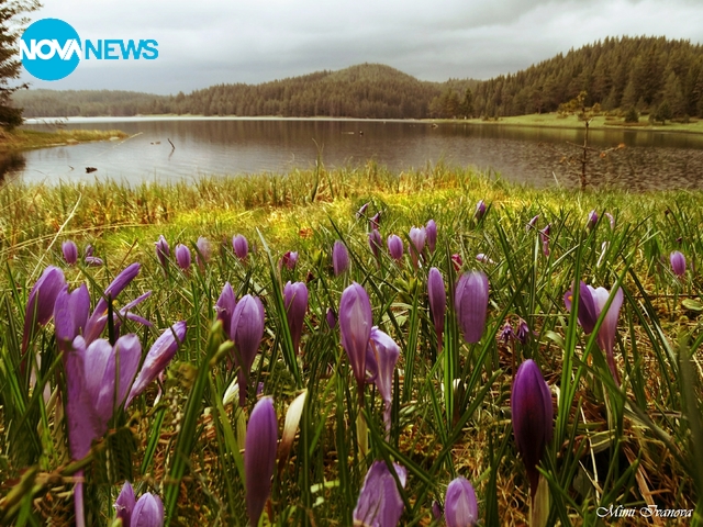 Свежи и красиви снимки за "Прогноза за времето"