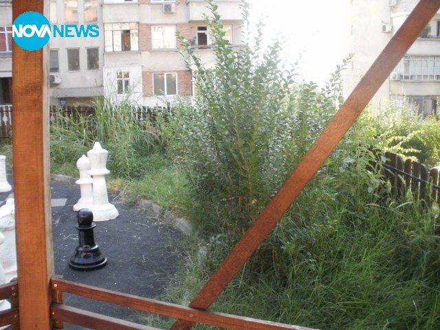 Занемарена околна среда