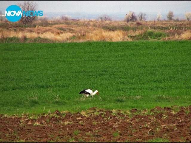 Те са вече тук