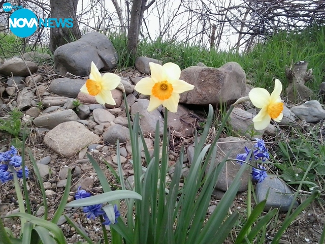 Цветен ще бъде днешният ден