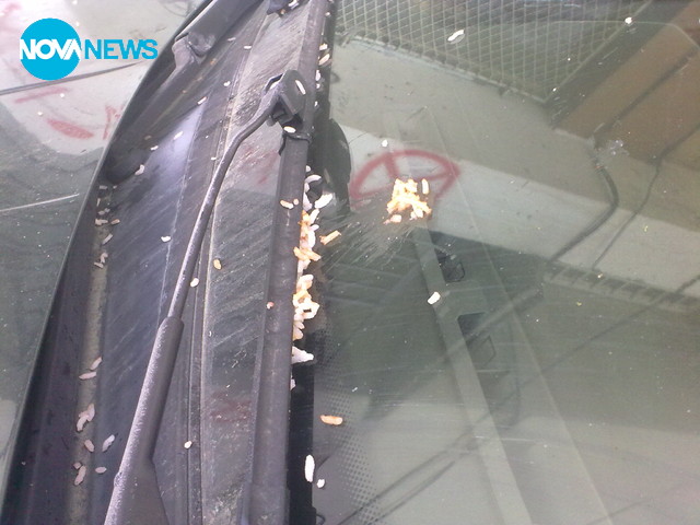 Студентски "подаръци"